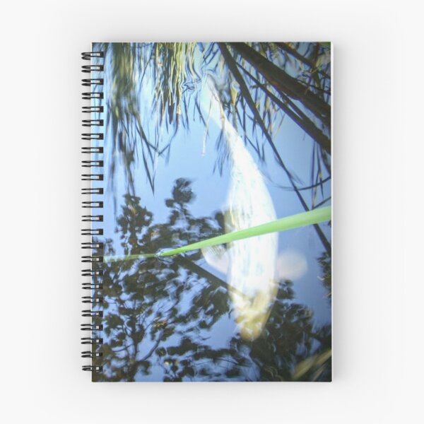 Item preview,  muy probablemente buscando comida. Era de un blanco sobrenatural que se veía hermoso en el reflejo y la luz refractada del estanque. designed and sold by brusling.