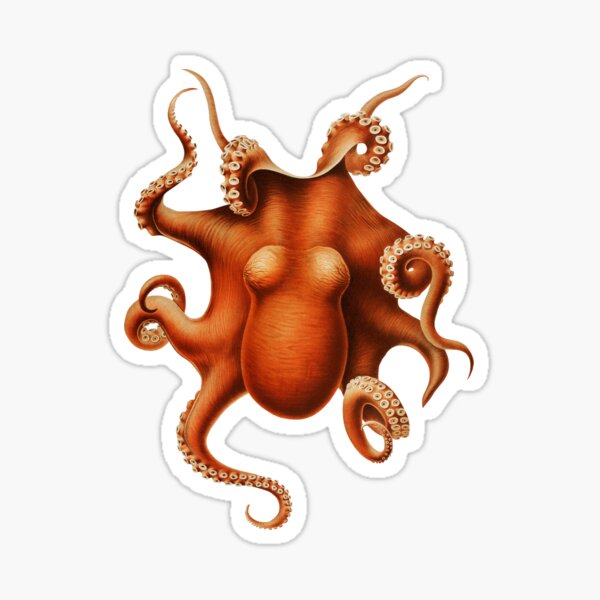 Item preview, Vintage red Octopus designed and sold by billythekidtees.