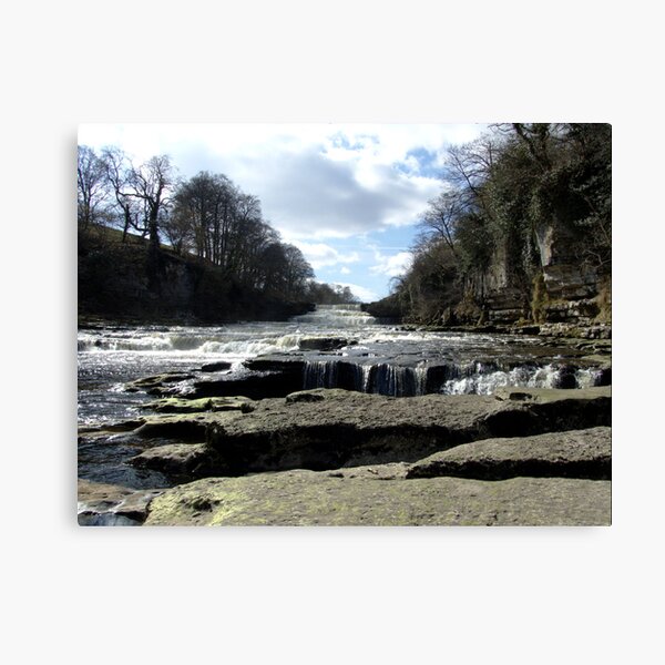 Aysgarth falls Canvas Print