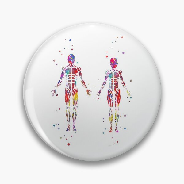 Item preview, Muscular System, human body, human muscles,  female body, man body designed and sold by Rosaliartbook.