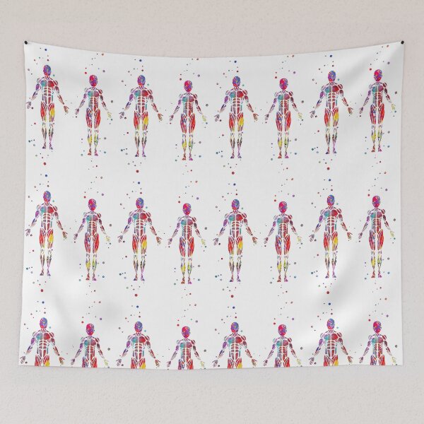 Item preview, Muscular System, human body, human muscles,  female body, man body designed and sold by Rosaliartbook.