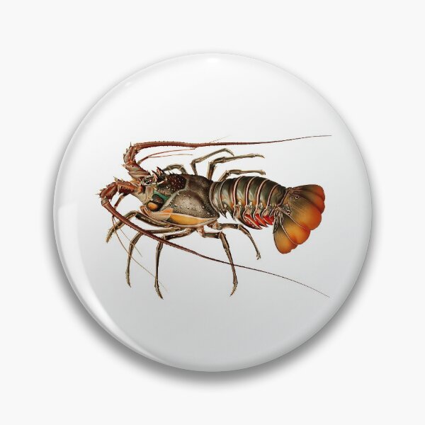 Item preview, Vintage Spiny Lobster designed and sold by billythekidtees.