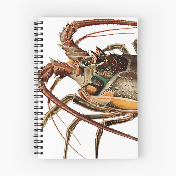 Item preview, Vintage Spiny Lobster designed and sold by billythekidtees.