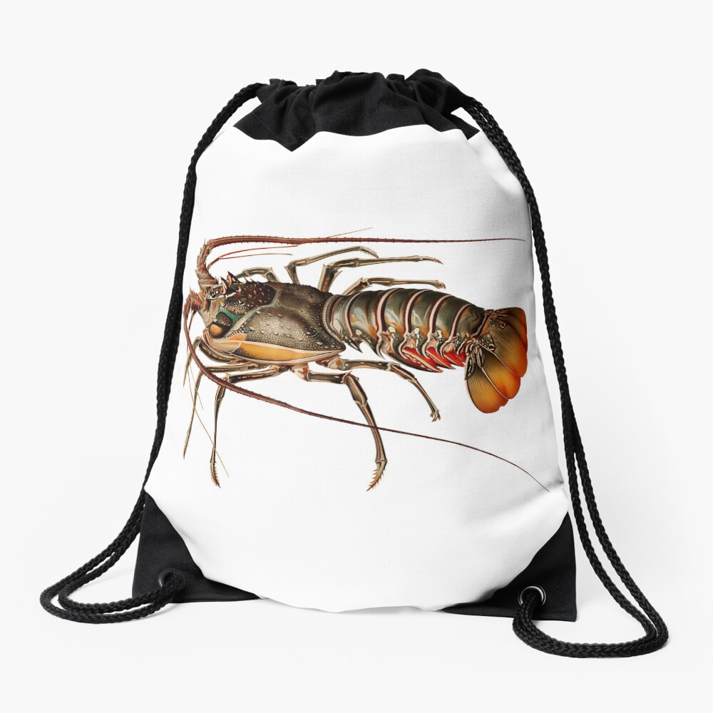 Vintage Spiny Lobster Drawstring Bag