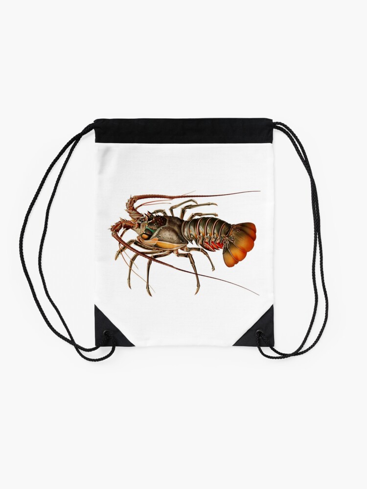 Alternate view of Vintage Spiny Lobster Drawstring Bag