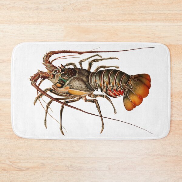 Item preview, Vintage Spiny Lobster designed and sold by billythekidtees.