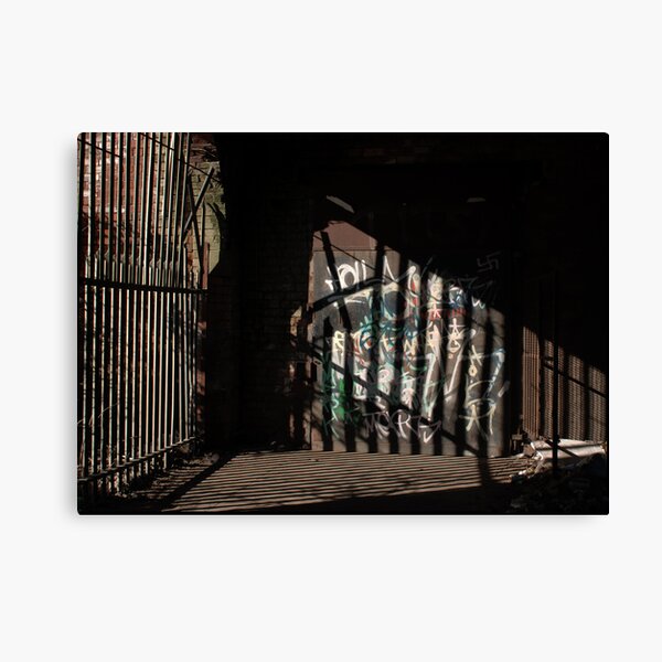 Shadows Canvas Print