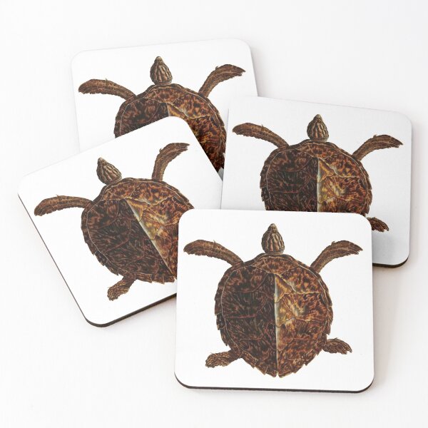 Item preview, Vintage Sea Turtle designed and sold by billythekidtees.