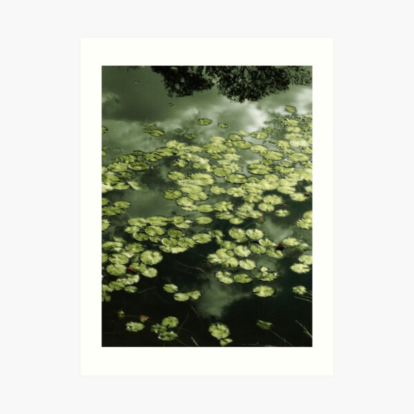 Metallic Water Lilies Art Print