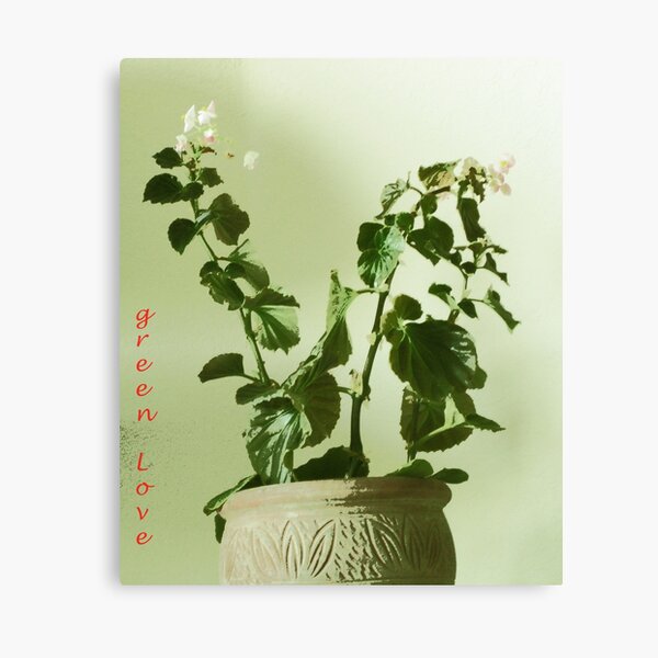 The Plant Also Canvas Print