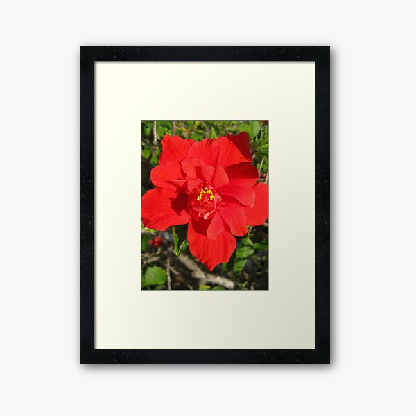 Vivid Red Framed Art Print