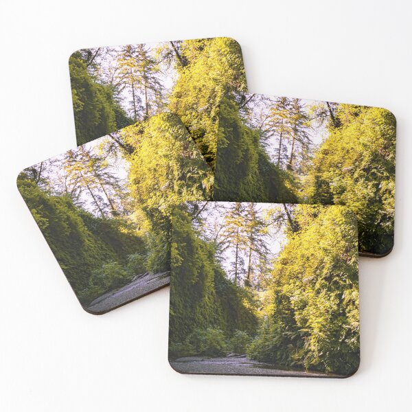 Item preview, View of Fern Canyon designed and sold by jillianbutolphphoto.