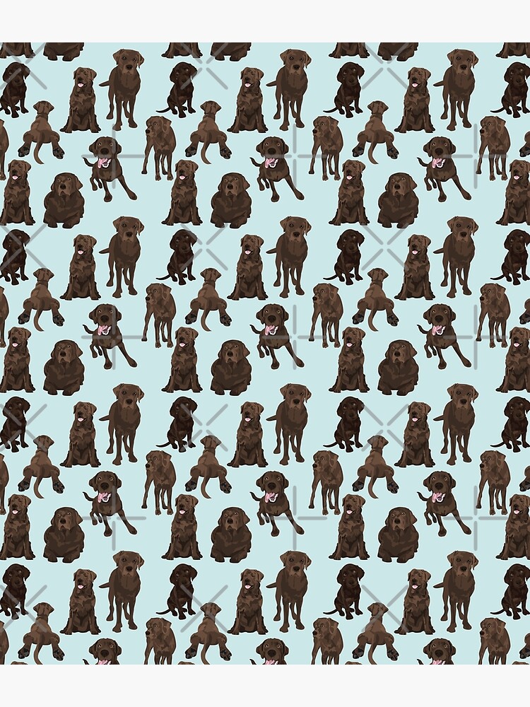 Chocolate Lab by ArtofACoonhound