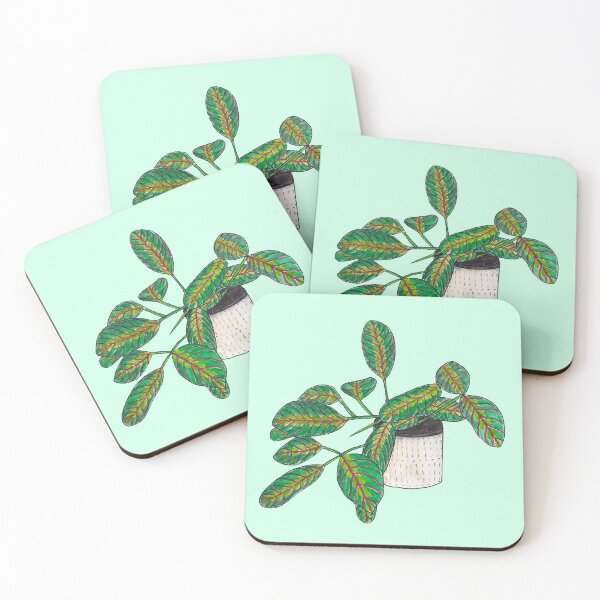 Item preview, Maranta prayer plant watercolour designed and sold by elliescribbles.
