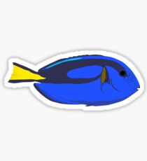 Regal Blue Tang Fish Sticker