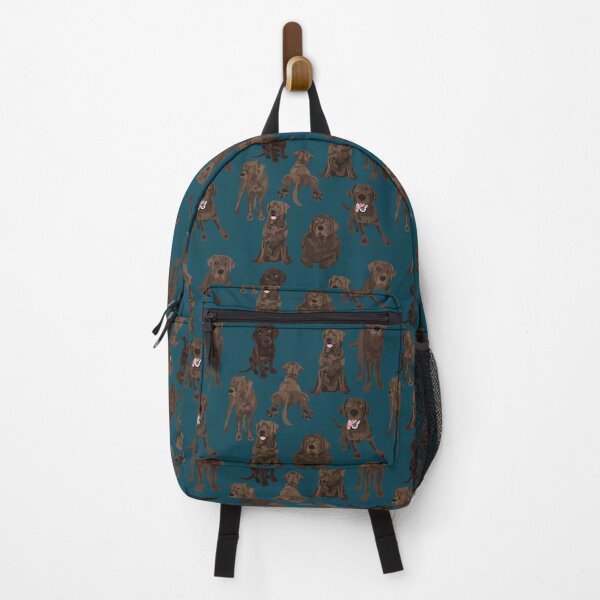 bape x lv backpack