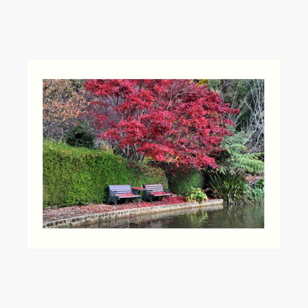 Quiet Corner - Bisley Garden - Mt Wilson NSW Art Print