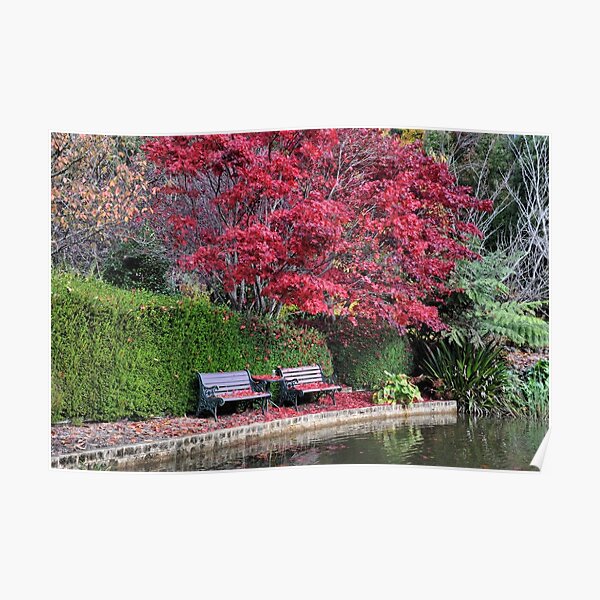 Quiet Corner - Bisley Garden - Mt Wilson NSW Poster