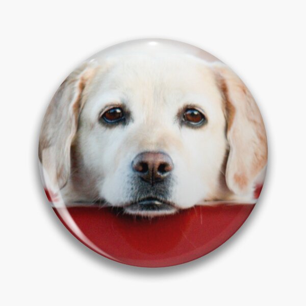 Item preview, 4 X PAW Yellow Labrador designed and sold by FOLK ART FUSION.
