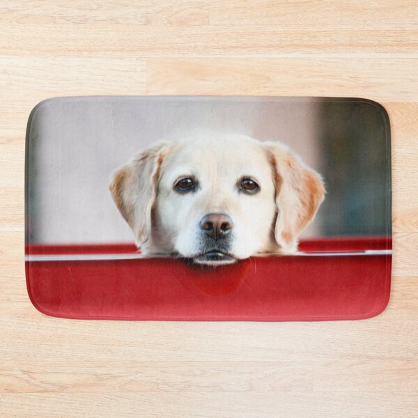 Artikelvorschau, 4 X PAW Yellow Labrador entworfen und verkauft von FOLK ART FUSION by heidiannemorris.