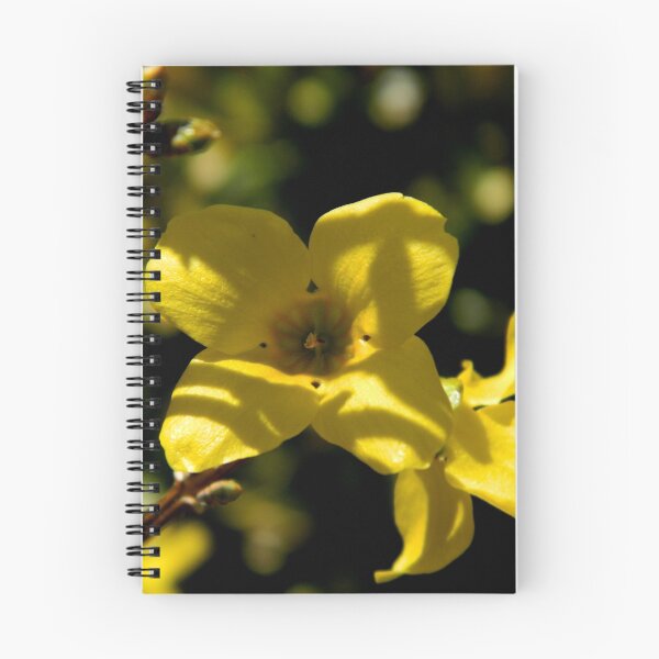 Item preview, Forsythia Bloom     ^ designed and sold by ctheworld.