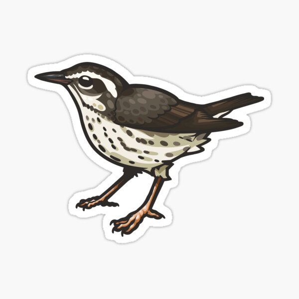Item preview, Louisiana Waterthrush designed and sold by Eambo's Cave.