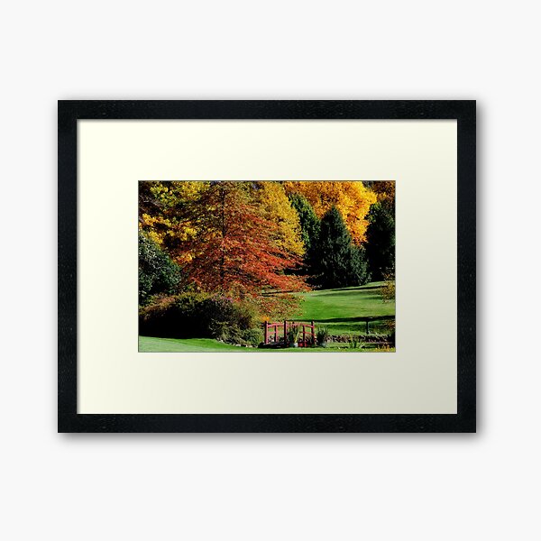 Glow of Autumn - Bisley Gardens, Mt Wilson NSW Framed Art Print