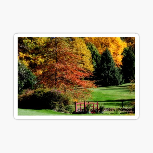 Glow of Autumn - Bisley Gardens, Mt Wilson NSW Sticker