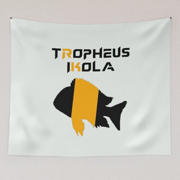 Item preview, Tropheus Yellow Ikola designed and sold by GFishy.