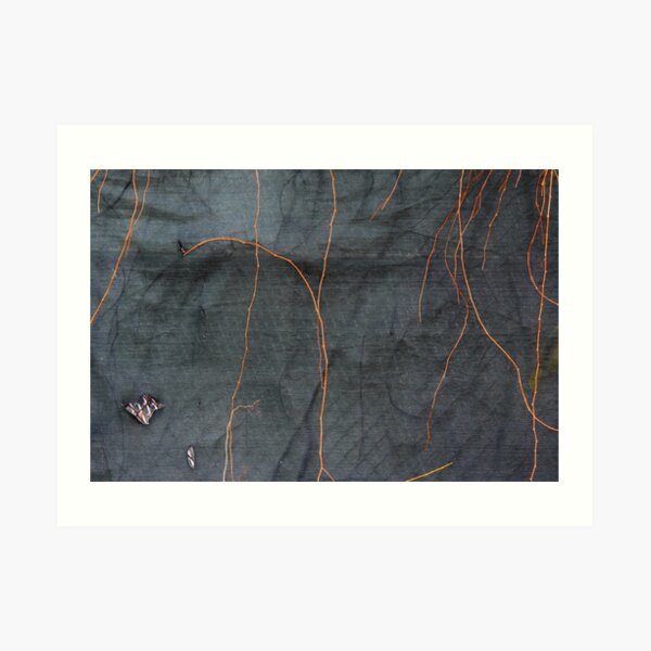 Layers Art Print