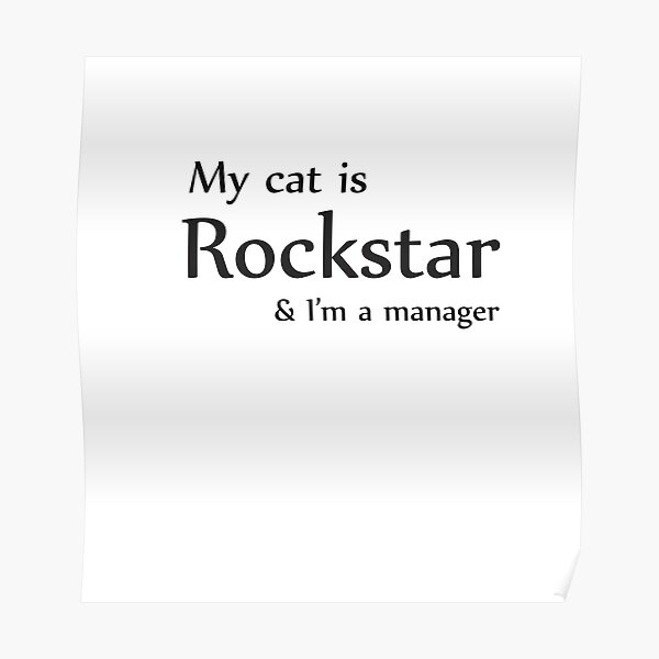 my cat is a rockstar t shirt