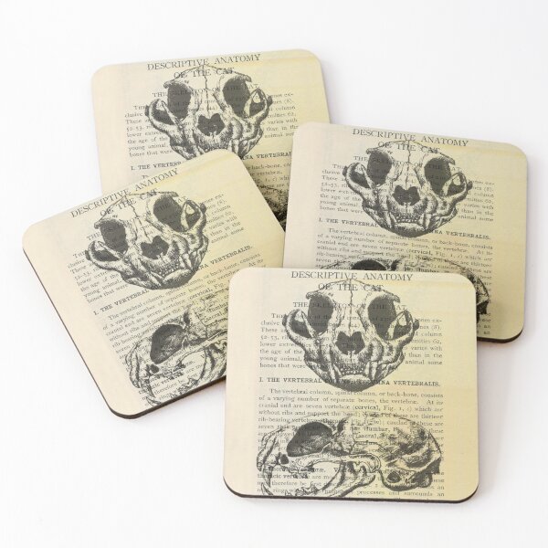 Item preview, Anatomical Cat Skull  | Animal Skeleton | Anatomical Art | Veterinarian Gift | Medical Student Gift designed and sold by Kaleigh Day.