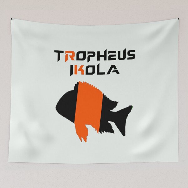 Item preview, Tropheus Orange Ikola designed and sold by GFishy.