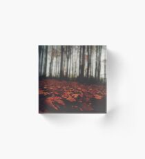 Tilt Acrylic Block