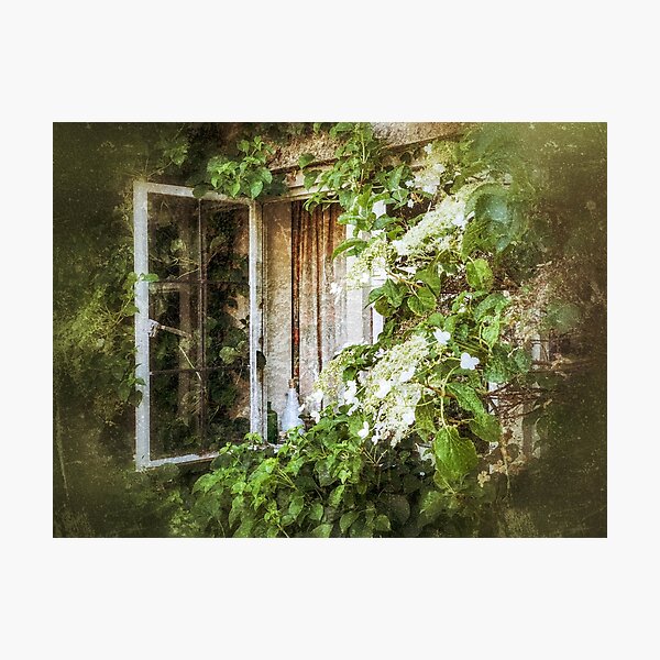 The Open Window Photographic Print