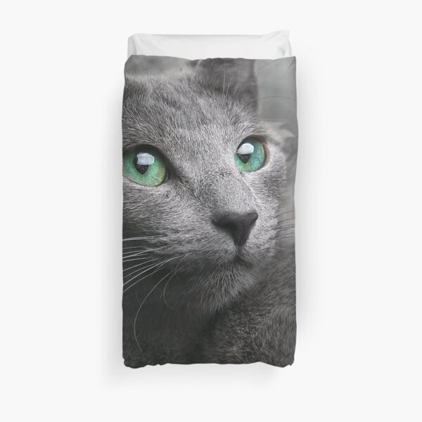 gray cat blue eyes Duvet Cover