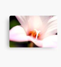 Bokeh Lily Metal Print