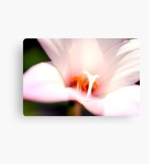Bokeh Lily Canvas Print