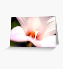 Bokeh Lily Greeting Card