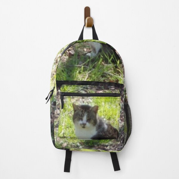 Item preview, Sunshine Kitty designed and sold by MooseDogPhotos.