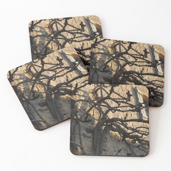 Item preview, Wisteria in winter on the stones of a farm wall in Burgundy designed and sold by EstelleRossetti.