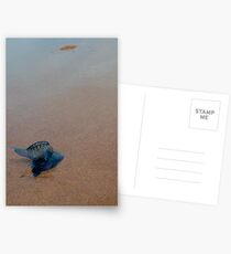 bluebottle Postcards