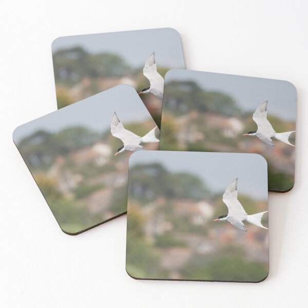 Item preview, Common Tern designed and sold by LaurenTucker.