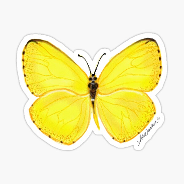 Vsco Stickers Yellow Butterfly