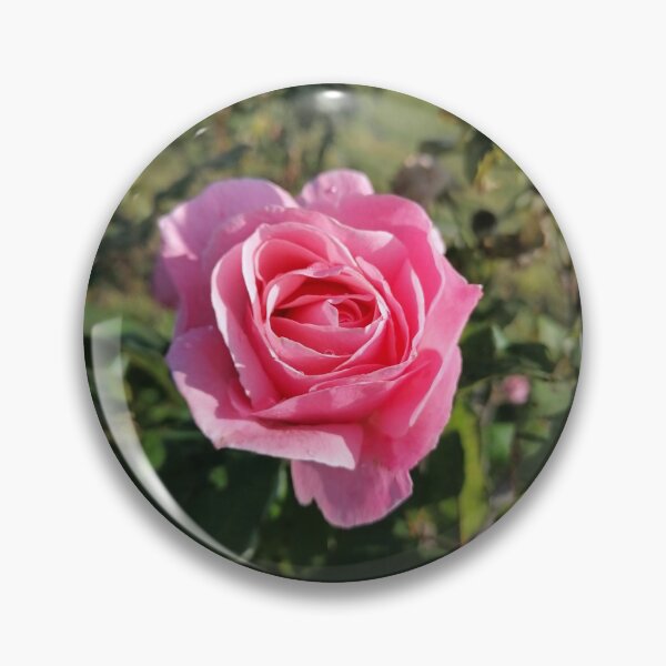 Artikelvorschau, Frühlingsrose entworfen und verkauft von Taket.