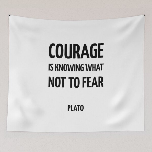 Item preview, Courage is knowing what not to fear - Plato  - Greek Philosophy quotes designed and sold by Inspirationmotivation.