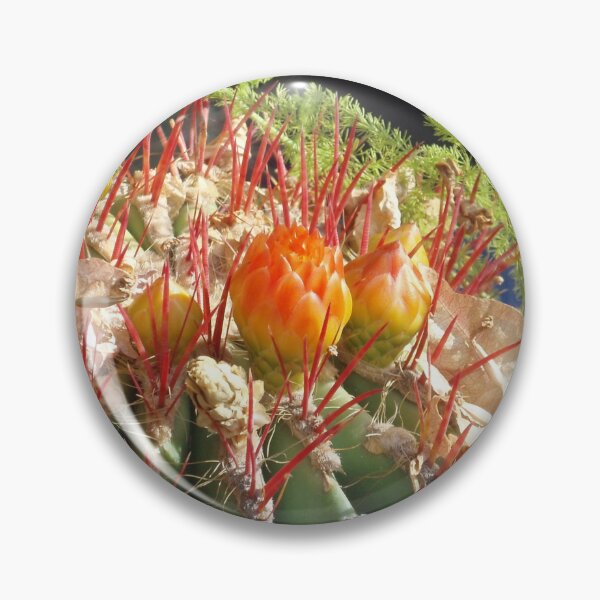Item preview, Cactus mother-in-law cushion designed and sold by EstelleRossetti.