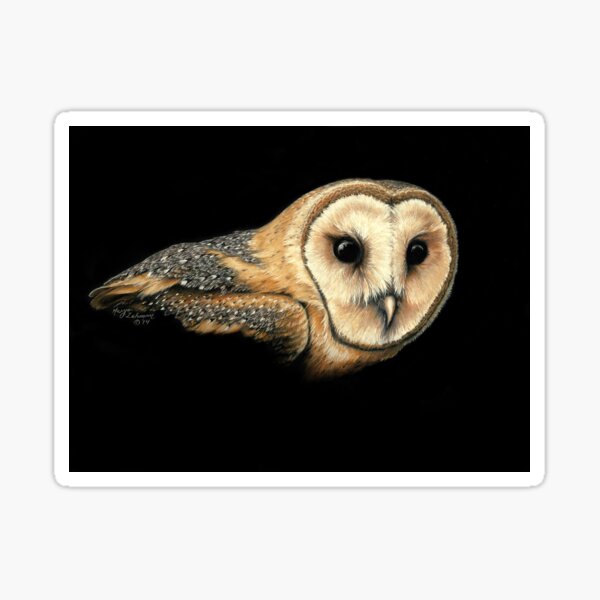 Amadan the Barn Owl Sticker