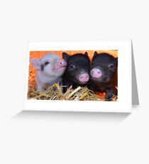3 Little Micro Pigs Greeting Card