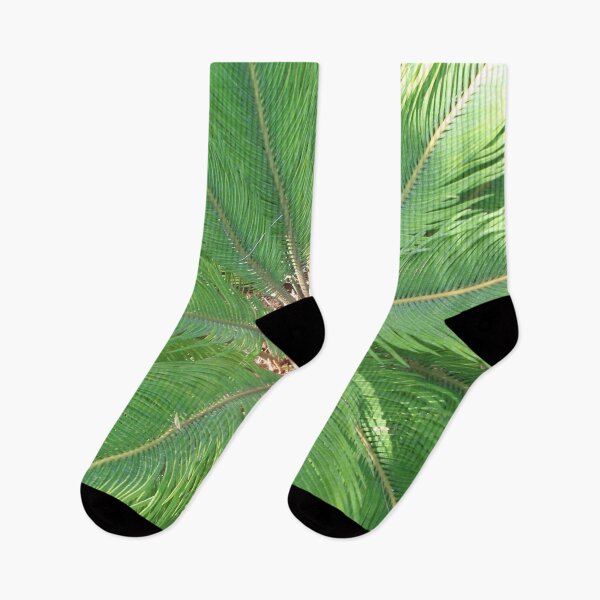Item preview, Heart of a fine green palm tree in Morocco designed and sold by EstelleRossetti.